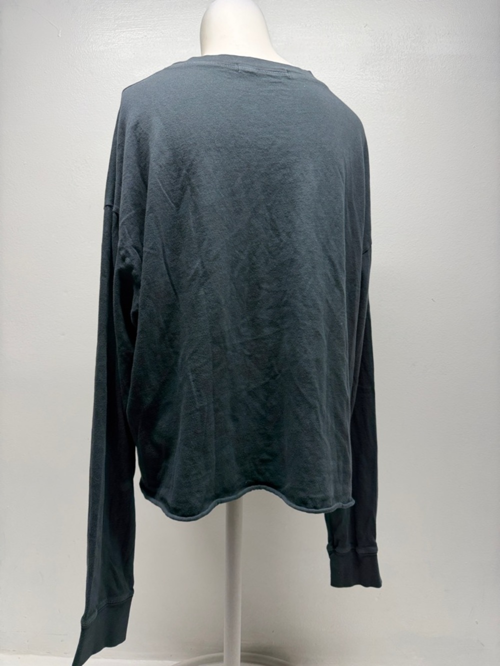 Daydreamer Aerosmith Band Graphic Cropped Long Sleeve Top Shirt Gray Size Medium - Picture 4 of 7